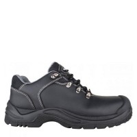 Toe Guard Storm Safety Shoes 